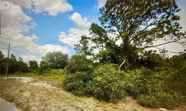 2116 Abbott Ave, Alva FL, 33920 land for sale