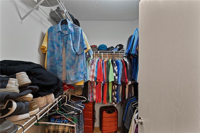 view of walk in closet