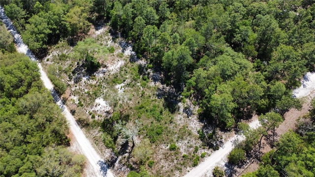 Listing photo 2 for SW 158th Ln, Dunnellon FL 34432