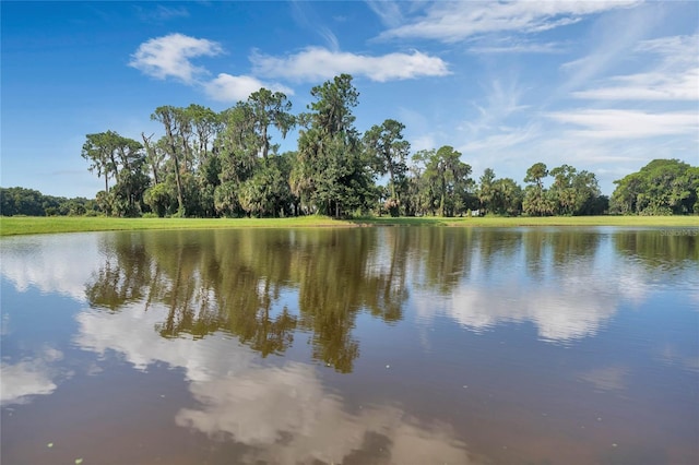 3430 Lake Diane Rd, Tavares FL, 32778 land for sale