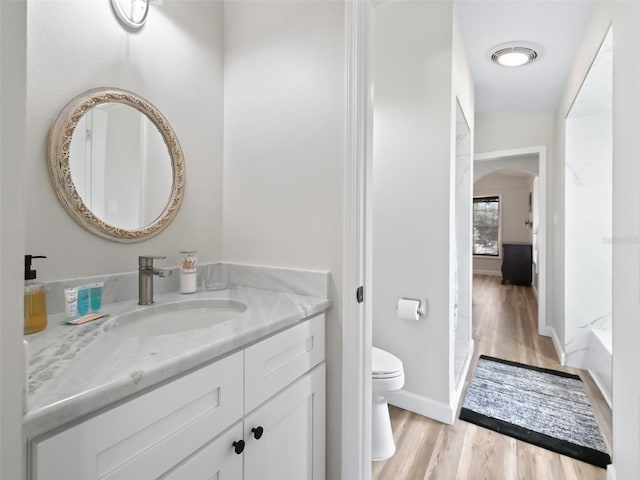 bathroom with wood-type flooring, vanity, and toilet