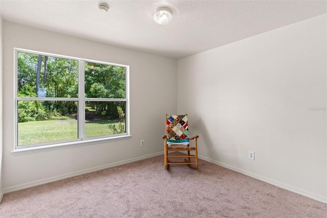 unfurnished room with plenty of natural light and carpet flooring