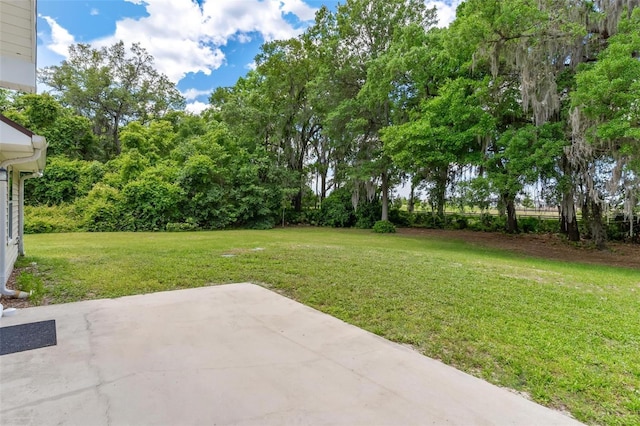 view of yard featuring a patio area