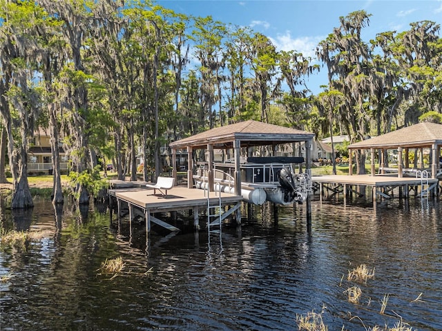 dock area with a water view