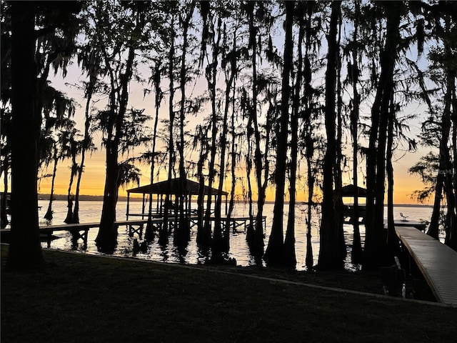 dock area featuring a water view