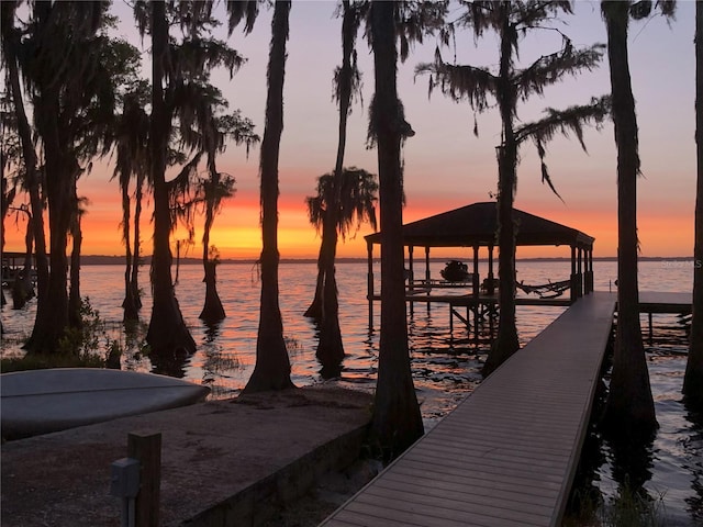 dock area with a water view