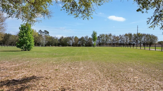 23321 N Buckhill Rd, Howey In The Hills, FL 34737 - view of grassy yard