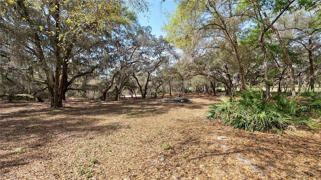 23321 N Buckhill Rd, Howey In The Hills, FL 34737 - view of yard