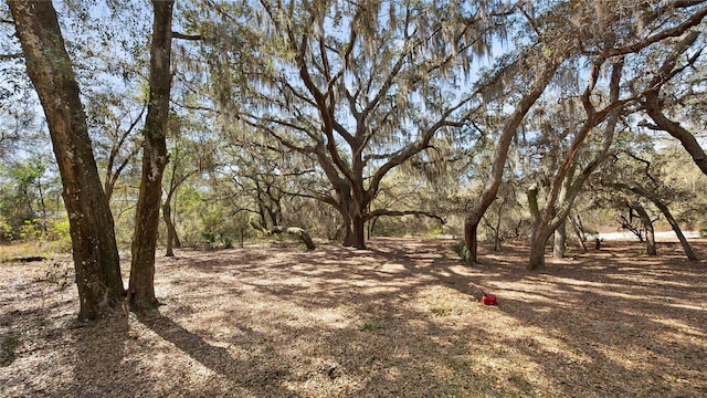 23321 N Buckhill Rd, Howey In The Hills, FL 34737 - view of yard