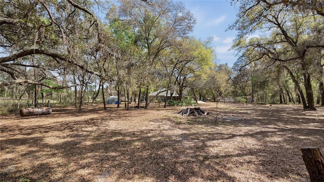 23321 N Buckhill Rd, Howey In The Hills, FL 34737 - view of yard