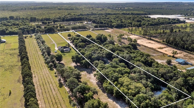 23321 N Buckhill Rd, Howey In The Hills, FL 34737 - view of rural area featuring property boundaries highlighted and a forest
