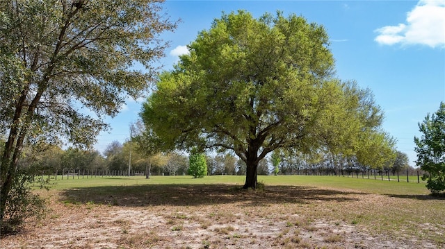 23321 N Buckhill Rd, Howey In The Hills, FL 34737 - view of grassy yard