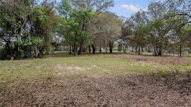 23321 N Buckhill Rd, Howey In The Hills, FL 34737 - view of yard