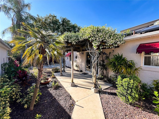 view of yard featuring a patio