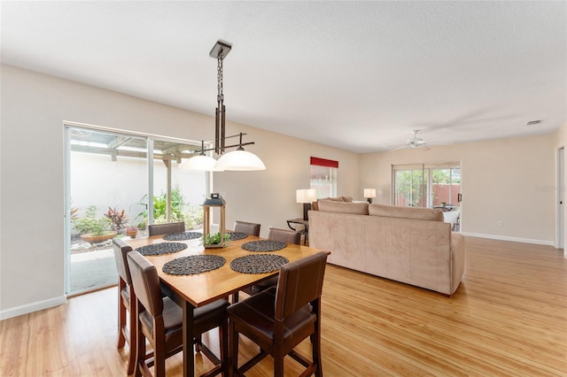 dining space featuring ceiling fan and light hardwood / wood-style floors