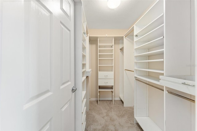 spacious closet with light colored carpet