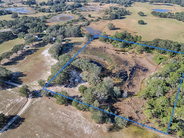 Listing photo 3 for 22451 Loop Rd, Groveland FL 34736