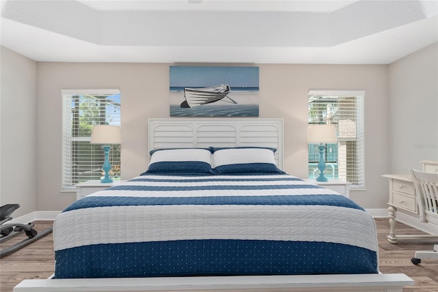 bedroom featuring light hardwood / wood-style floors, a raised ceiling, and multiple windows