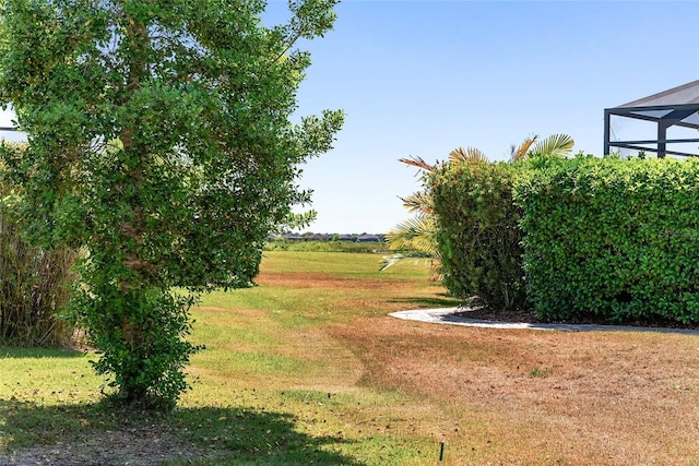 view of yard featuring a lanai