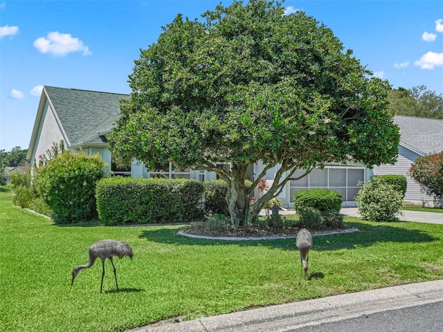 obstructed view of property featuring a front lawn