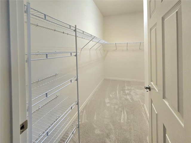 spacious closet with carpet