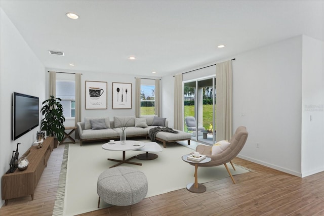 living room featuring wood-type flooring