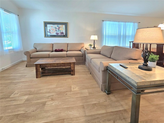 living room featuring wood-type flooring