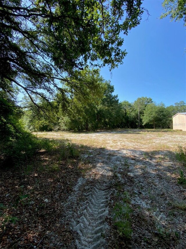 view of local wilderness