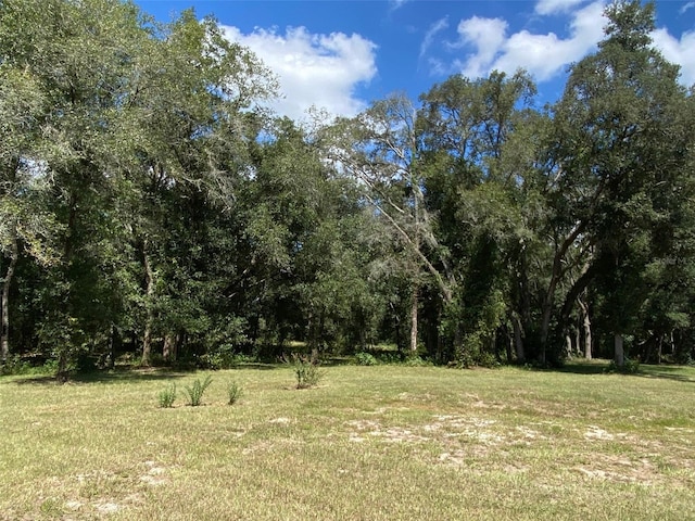 view of local wilderness