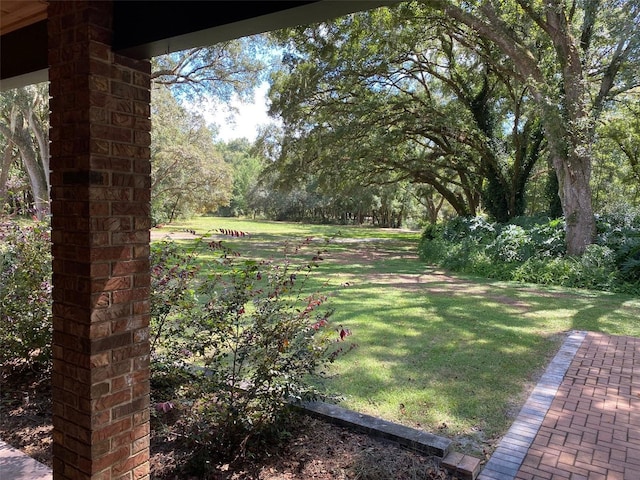1921 Smitty Rd, Weirsdale, FL 32195 - view of green lawn