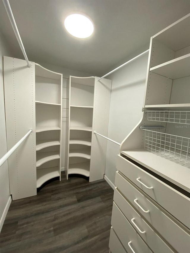 walk in closet featuring dark wood-type flooring