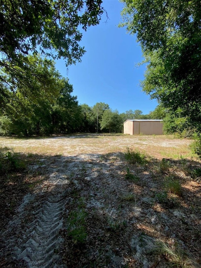1921 Smitty Rd, Weirsdale, FL 32195 - view of yard with a pole building, an outbuilding, and a wooded view