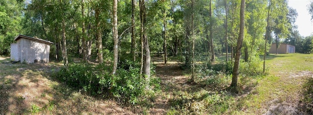 view of yard featuring a shed