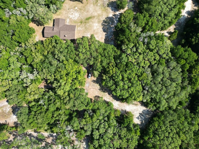 1921 Smitty Rd, Weirsdale, FL 32195 - view of property location