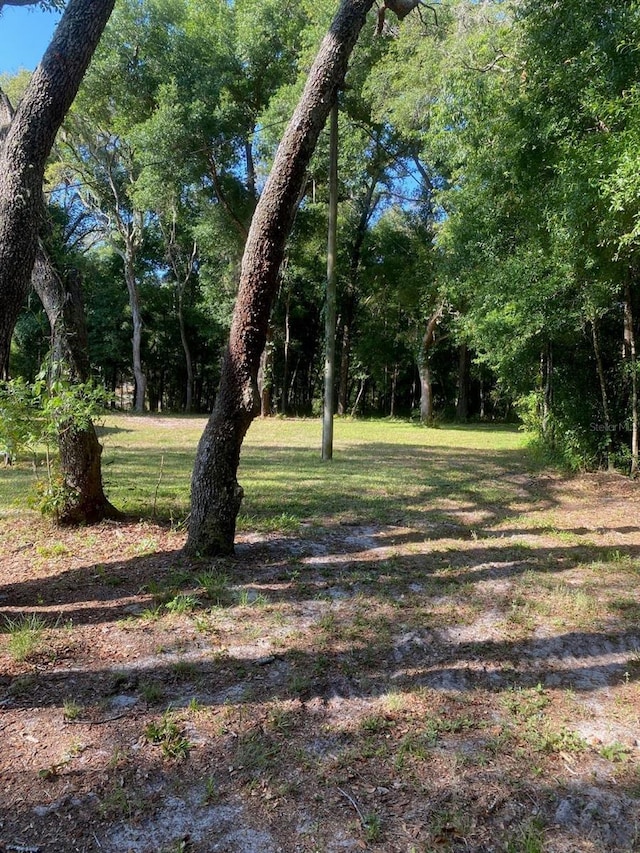1921 Smitty Rd, Weirsdale, FL 32195 - view of grassy yard