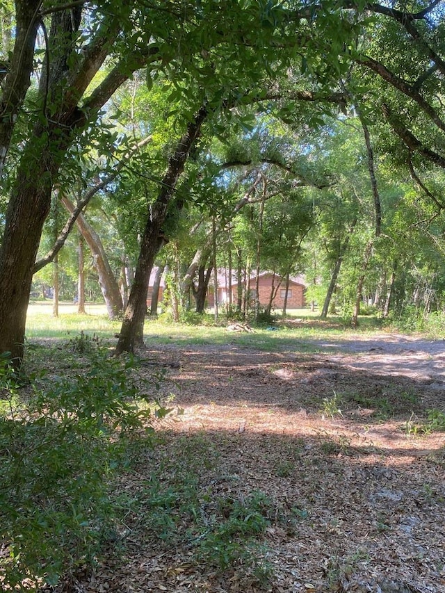 1921 Smitty Rd, Weirsdale, FL 32195 - view of yard