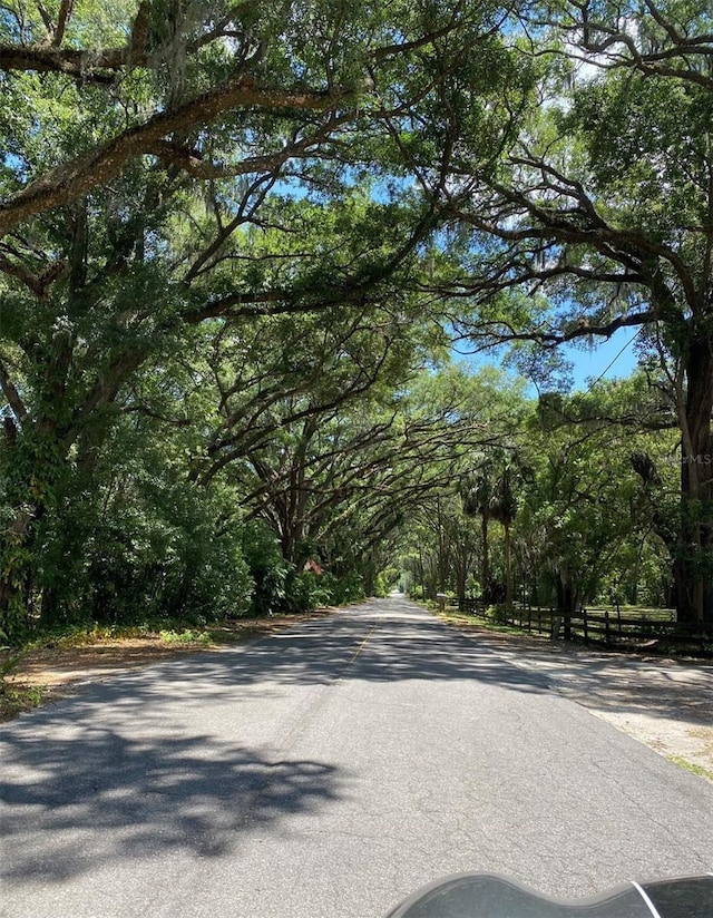 1921 Smitty Rd, Weirsdale, FL 32195 - view of asphalt road