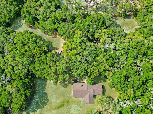 1921 Smitty Rd, Weirsdale, FL 32195 - view of property location