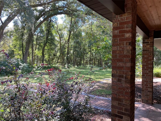 1921 Smitty Rd, Weirsdale, FL 32195 - view of yard with a wooded view