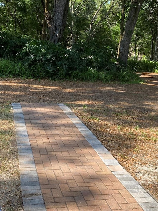 1921 Smitty Rd, Weirsdale, FL 32195 - view of community