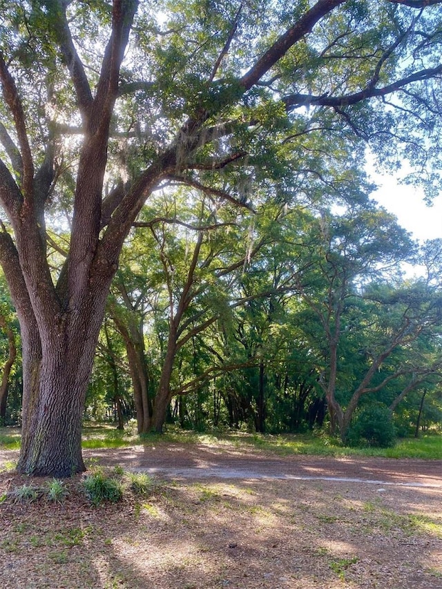 1921 Smitty Rd, Weirsdale, FL 32195 - view of yard