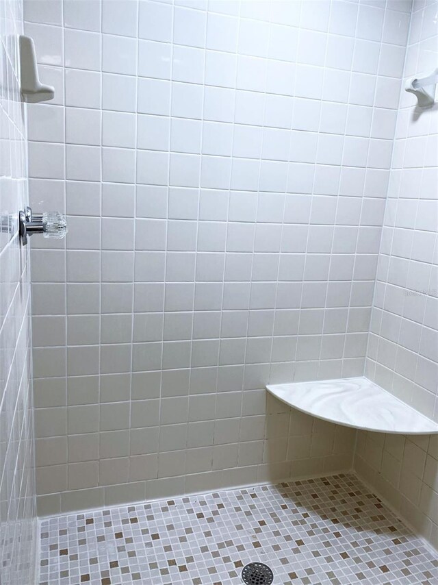 1921 Smitty Rd, Weirsdale, FL 32195 - bathroom featuring tiled shower