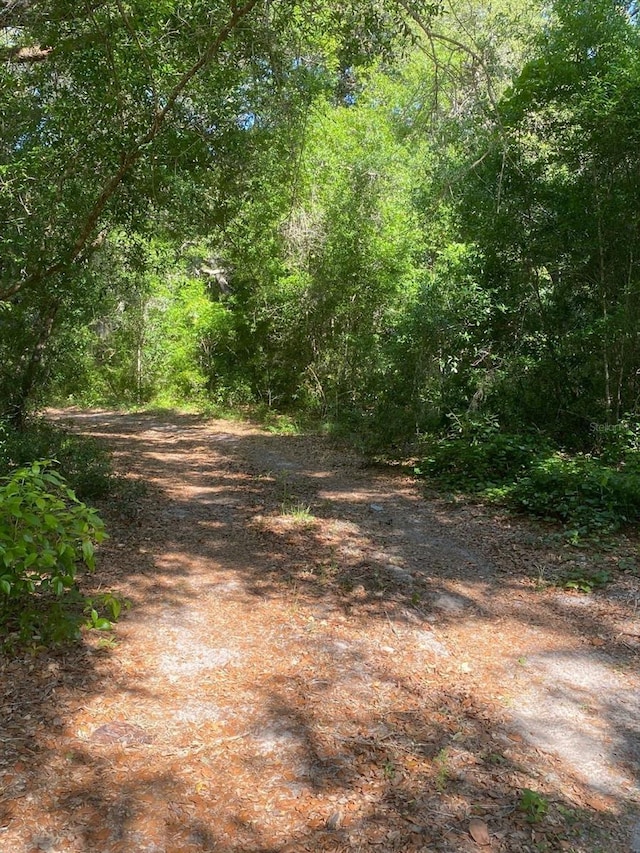 1921 Smitty Rd, Weirsdale, FL 32195 - view of woods