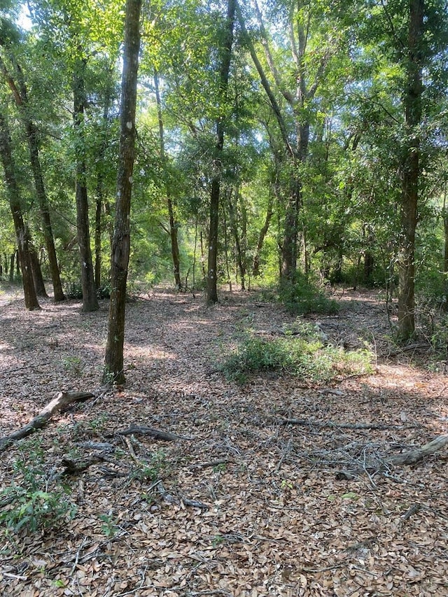 1921 Smitty Rd, Weirsdale, FL 32195 - view of local wilderness