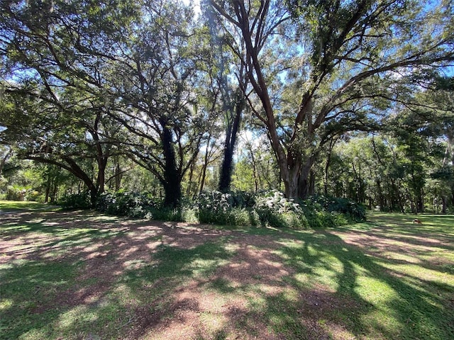 1921 Smitty Rd, Weirsdale, FL 32195 - view of green lawn