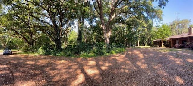 1921 Smitty Rd, Weirsdale, FL 32195 - view of yard