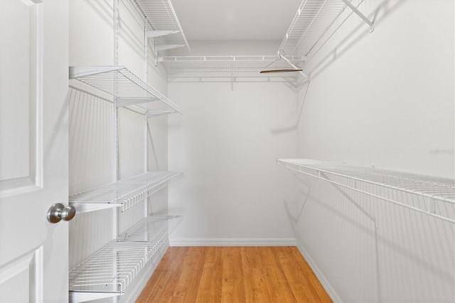 spacious closet with light wood-type flooring