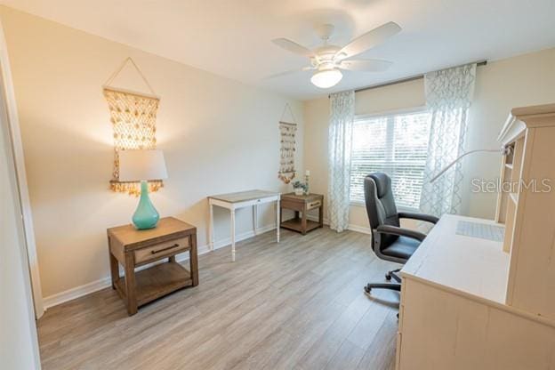 office featuring ceiling fan and light hardwood / wood-style flooring