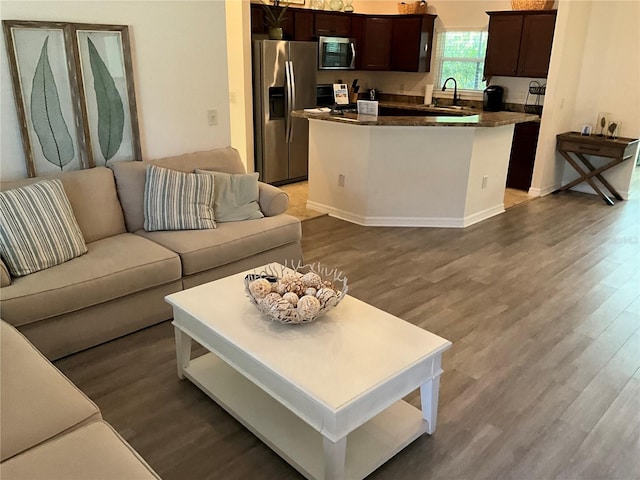 living room with sink and hardwood / wood-style floors