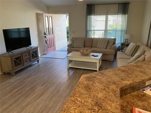 living room with dark hardwood / wood-style flooring